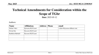 Advanced Topics in IEEE 802.11-25/0830r0 Technical Amendments