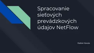 Network Data Analysis with NetFlow - Insights and Techniques