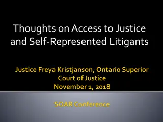 Challenges Faced by Self-Represented Litigants in Access to Justice