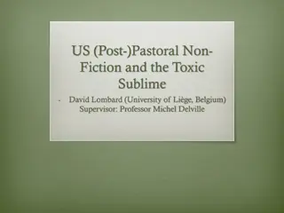 Exploring the Toxic Sublime in US Literature