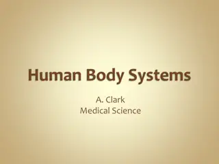 Understanding the Digestive System
