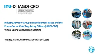 Private Sector Development Issues Meeting Overview