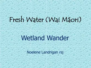 Exploring the Beauty of Wetlands and Wildlife