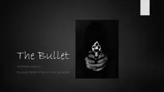 Found Poem from the Sniper: The Bullet's Impact