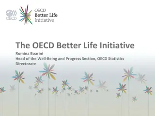 OECD Better Life Initiative Insights