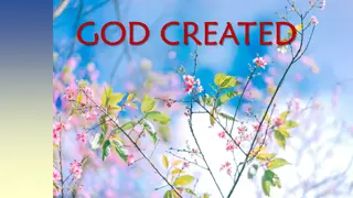 God's Creation Story