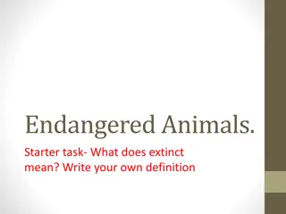 Understanding Endangered Animals and Conservation Efforts