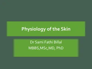 Skin Physiology and Dysfunction Overview
