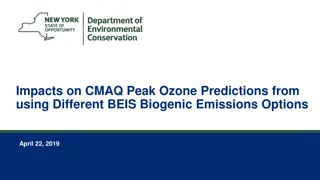 Impact of BEIS Biogenic Emissions Options on CMAQ Peak Ozone