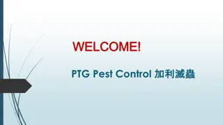 Best Mice and Rat Removal in Richmond Hill