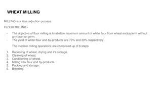 Wheat Milling Process Overview