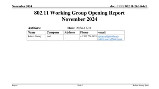 IEEE 802.11 Working Group Report - November 2024
