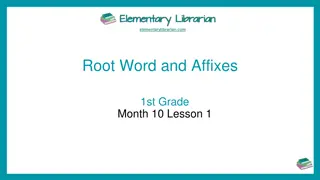 Understanding Root Words and Affixes in 1st Grade Lesson