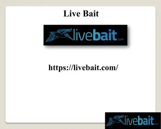 Cast Net For Beginners, livebait.com