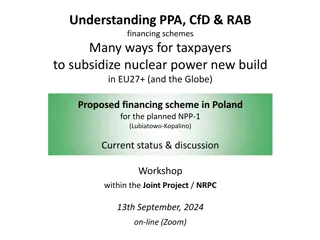Financing Schemes for Nuclear Power in Poland's NPP-1 Project