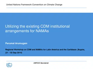 Utilizing CDM Institutional Arrangements for NAMAs