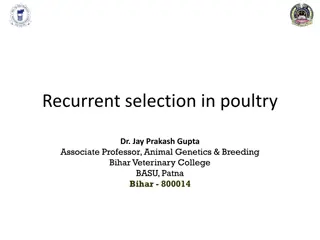 Recurrent Selection in Poultry Genetics