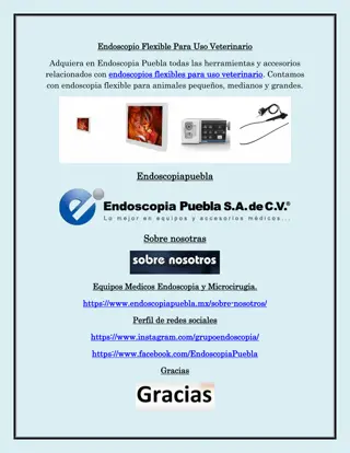Endoscopio Flexible Veterinario