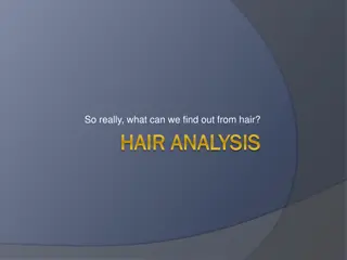 Insights from Hair Analysis in Forensic Science