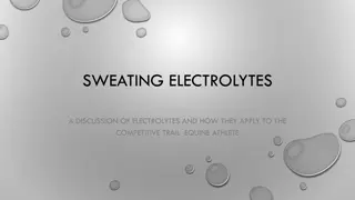 Equine Electrolytes: Trail Athlete's Health