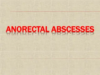 Anorectal Abscesses Overview