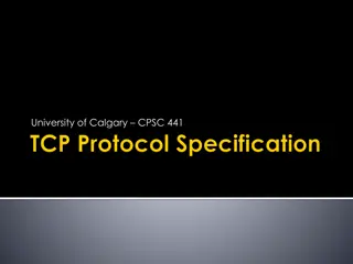 Overview of TCP Protocol in Networking