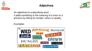Understanding Adjectives: Types and Examples