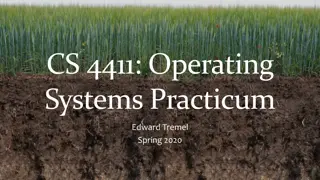 Practical Operating Systems Practicum Overview