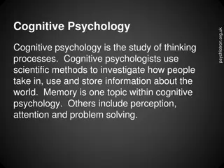 Understanding Cognitive Psychology and Memory Research
