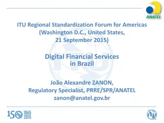 Digital Financial Services in Brazil