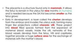 Fascinating Insights into Placental Functionality