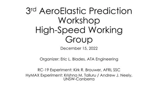 Aeroelastic Prediction Workshop: High-Speed Working Group
