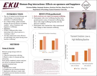 Effects of Human-Dog Interactions on Wellbeing