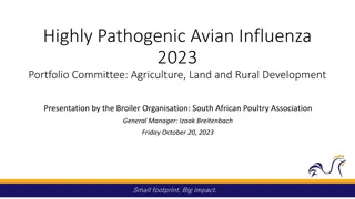 Impact of Highly Pathogenic Avian Influenza 2023 on South African Broiler Industry