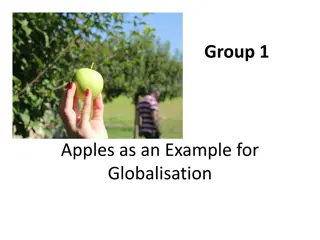 Exploring Apple Globalisation