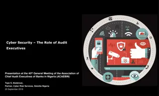 Audit Executives Role in Cyber Security