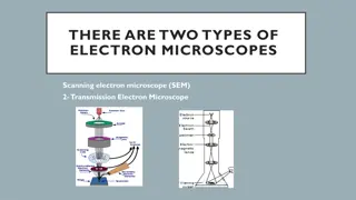 Types of Electron Microscopes and Microscopy Techniques