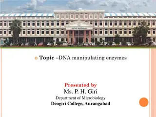 Understanding DNA Manipulating Enzymes