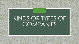 Types of Companies: Classification and Characteristics