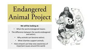 Understanding Endangered Animals and Artwork for Charity