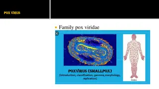 Understanding Pox Virus and Its Effects