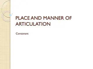Speech Organs and Articulation in Phonetics