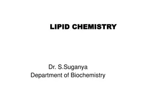 Understanding Lipid Chemistry in Biochemistry