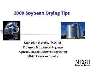 Soybean Drying Tips & Storage Guidelines