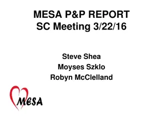 MESA P&P Report Summary and Authorship Insights