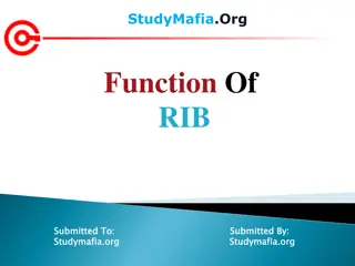 All About RBI Functions and Roles