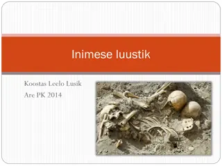 Fascinating Human Skeleton Facts