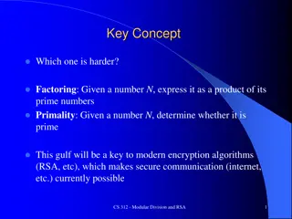 Modular Division and RSA Algorithms Explained
