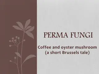 Urban Mushroom Farming: A Sustainable Approach in Brussels