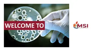 The Benefits of Professional Mold Inspection Restoration Services